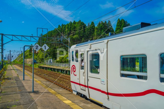 写真のタイトルが入ります