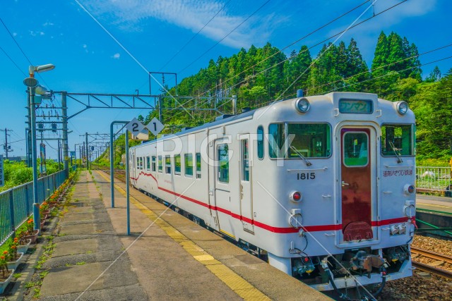 写真のタイトルが入ります