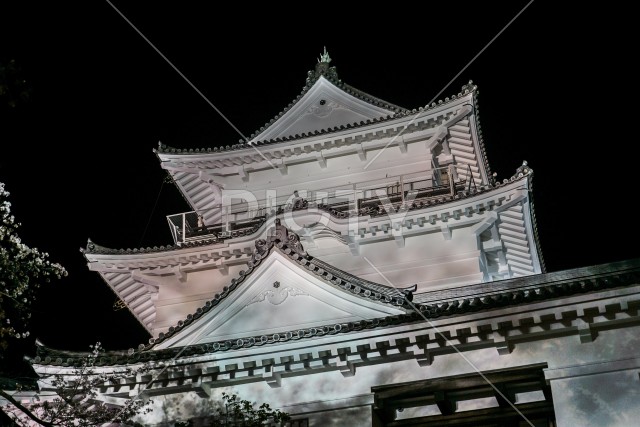 小田原城と夜桜