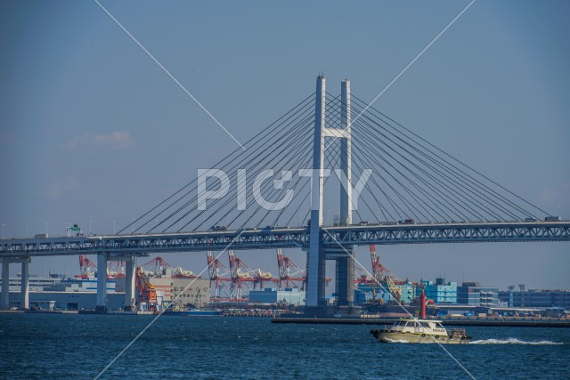 写真のタイトルが入ります