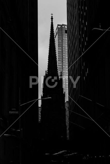 写真のタイトルが入ります