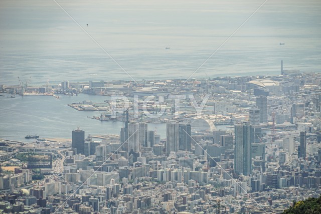 写真のタイトルが入ります