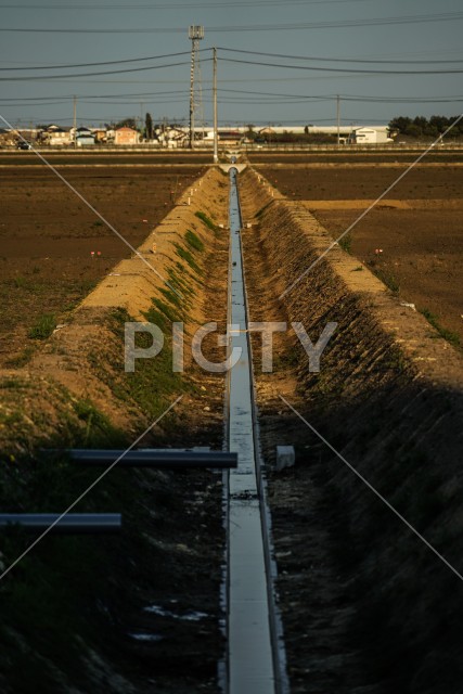 写真のタイトルが入ります