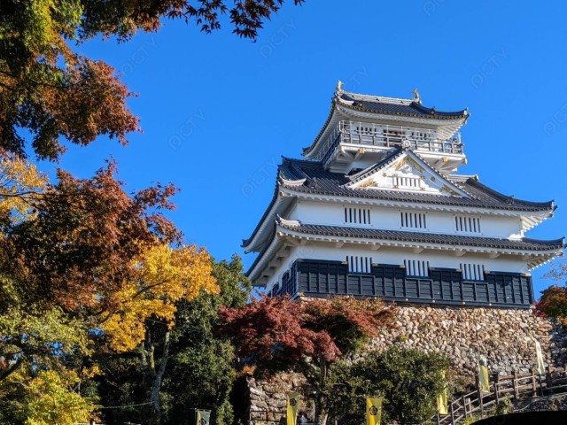 写真のタイトルが入ります