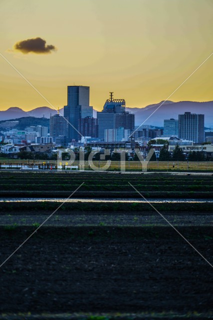 写真のタイトルが入ります